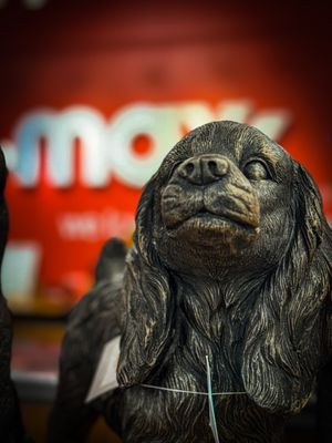 TJ MAXX - Updated December 2025 - 85 Photos & 30 Reviews - 483 Broadway