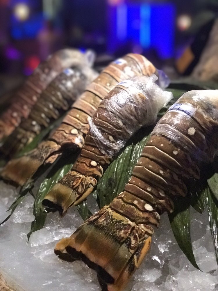 Blue Lobster