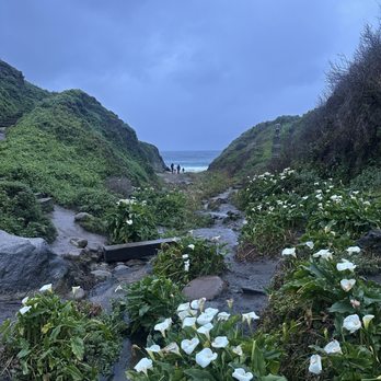 Calla Lily Valley - Parks Near Me - Carmel-By-The-Sea, California Calla Lily Valley - Parks Near Me - Carmel-By-The-Sea, California