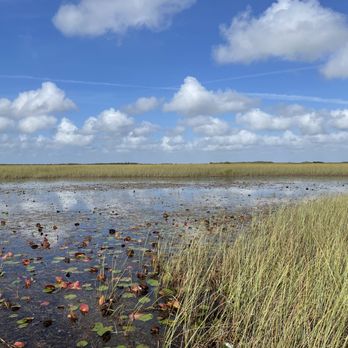 Tigertail Airboat Tours - Boat Tours Near Me - Miami, Florida