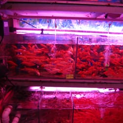 光暉水族用品批發