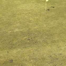 Beaver Island Golf Club - Pitted greens