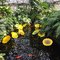 garfield-park-conservatory-chicago photo _5pUu_3ovaEN1VdvsaDS4A