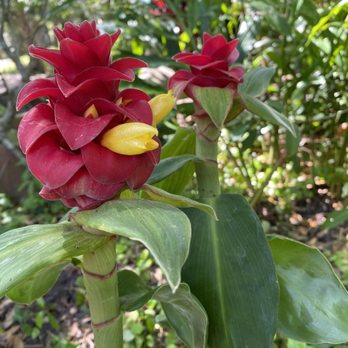 Mead Botanical Garden - Botanical Gardens Near Me - Winter Park, Florida