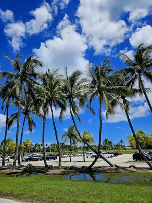 Haulover Park by null