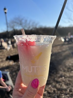 MUTTS Canine Cantina® by null