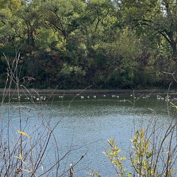 Van Patten Woods Forest Preserve - Another area with more geese - Boating Near Me - Wadsworth, Illinois Van Patten Woods Forest Preserve - Another area with more geese - Boating Near Me - Wadsworth, Illinois