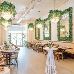 Violet Cactus Sherman Oaks - Our beautiful space!