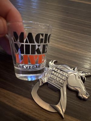 Magic Mike Live by null