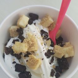 Aspen Leaf Yogurt Rocky Mountain Chocolate Factory