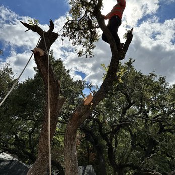 Los Tres Hermanos Tree service - Tree Services Near Me Los Tres Hermanos Tree service - Tree Services Near Me