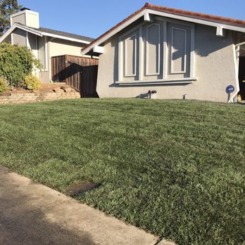 CH & L Services - Front yard finished! - Landscaping Near Me - Concord, California CH & L Services - Front yard finished! - Landscaping Near Me - Concord, California