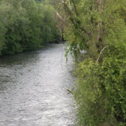 Coosawattee River Resort Association
