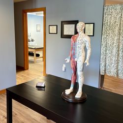 Willow Acupuncture