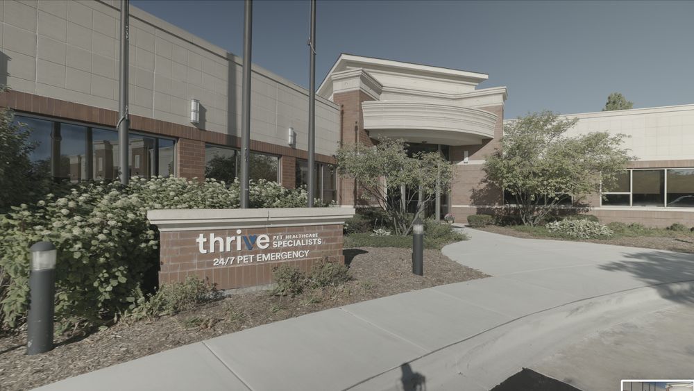 DERMATOLOGY FOR ANIMALS HOFFMAN ESTATES Updated September 2024