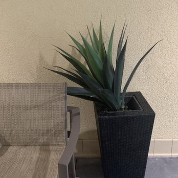 Hampton Inn Elizabethtown - Why can't employees take some pride in where they work and fix even the little things like this plant? How tacky - Hotels Near Me - Elizabethtown, Kentucky Hampton Inn Elizabethtown - Why can't employees take some pride in where they work and fix even the little things like this plant? How tacky - Hotels Near Me - Elizabethtown, Kentucky