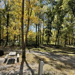 Timberline Campground