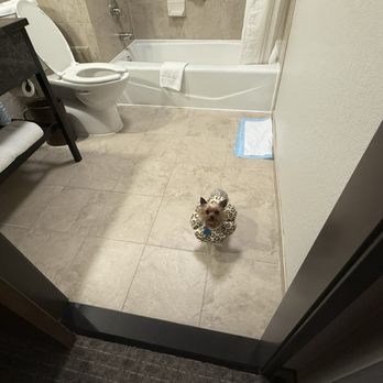 Drury Inn & Suites Austin North - They are pet friendly for $50 extra - Hotels Near Me - Austin, Texas Drury Inn & Suites Austin North - They are pet friendly for $50 extra - Hotels Near Me - Austin, Texas