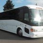Photo of Need A Bus