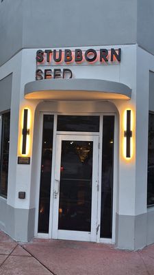 Stubborn Seed - Miami Beach by null