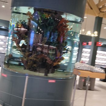 High Seas - Cannabis Dispensaries Near Me - Costa Mesa, California High Seas - Cannabis Dispensaries Near Me - Costa Mesa, California