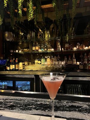W Scottsdale by null