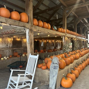 Stone Mountain Farm - pumpkins and hay bales - Pick Your Own Farms Near Me - Belmont, New Hampshire