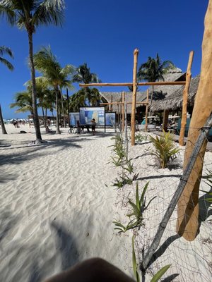 Playa Norte by null