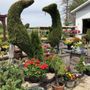 Photo of Sunny Farm
