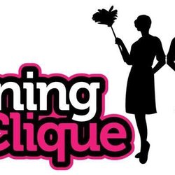 The Cleaning Clique