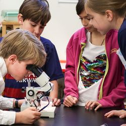 Aidan Montessori School - Elementary students working together.