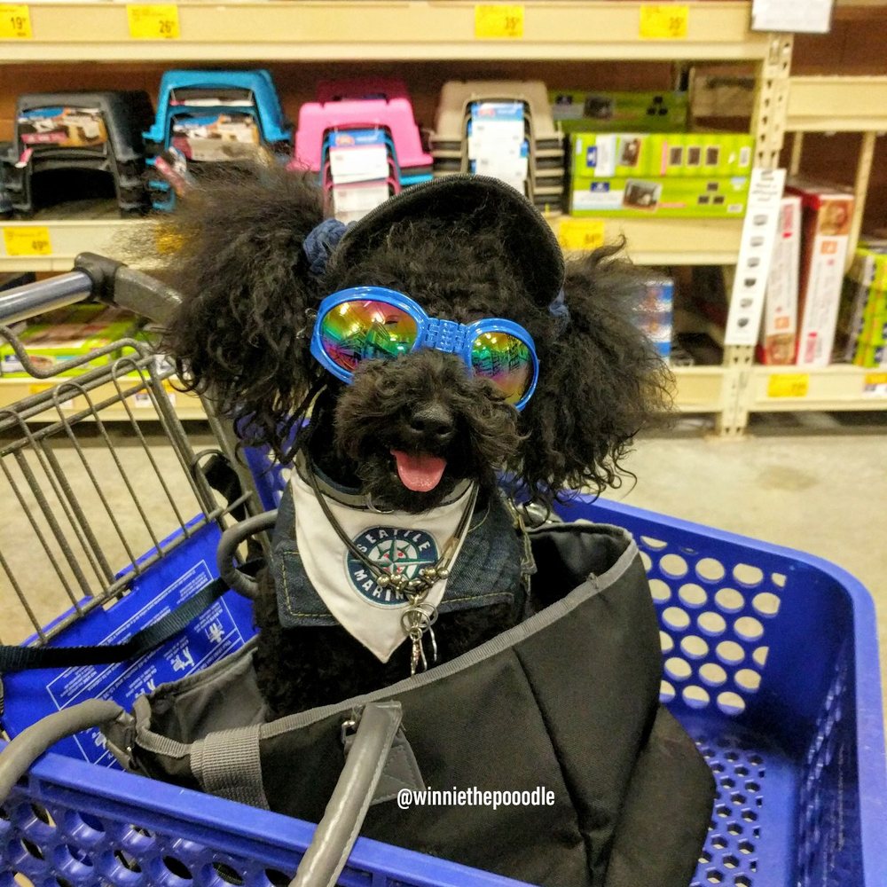 PetSmart - Am I happy!! You betcha!!! - Pet Training Near Me - Spokane, Washington PetSmart - Am I happy!! You betcha!!! - Pet Training Near Me - Spokane, Washington