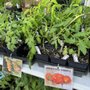 Photo of Peninsula Hydroponics & Organic Garden Supply