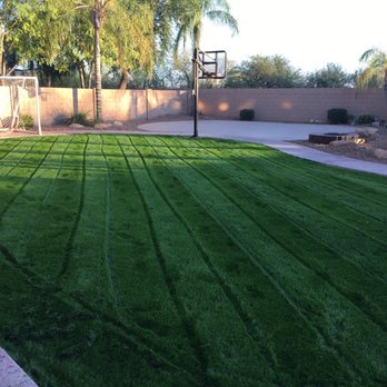 Pristine Green - Back yard winter grass turned out awesome!!! Thanks Prestine Green! - Irrigation Near Me - Gilbert, Arizona Pristine Green - Back yard winter grass turned out awesome!!! Thanks Prestine Green! - Irrigation Near Me - Gilbert, Arizona