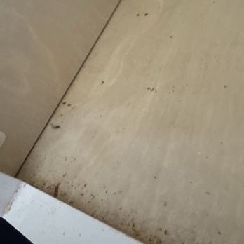 Dora’s House Cleaning - Home Cleaning Near Me