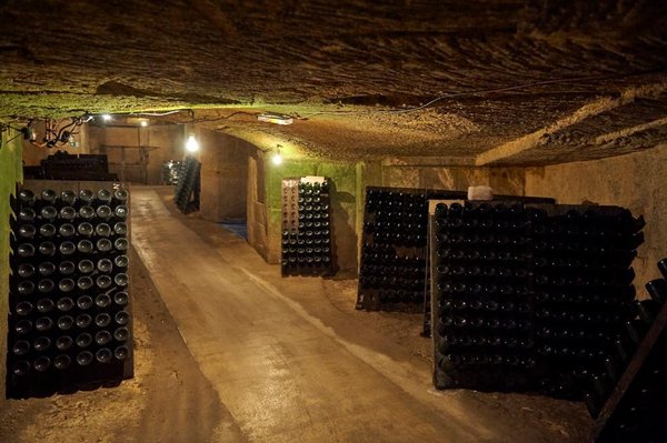 Cloître des Cordeliers by null