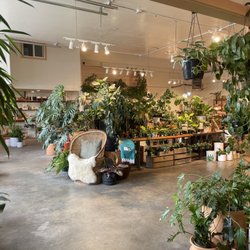 Sierra Water Plant Shop