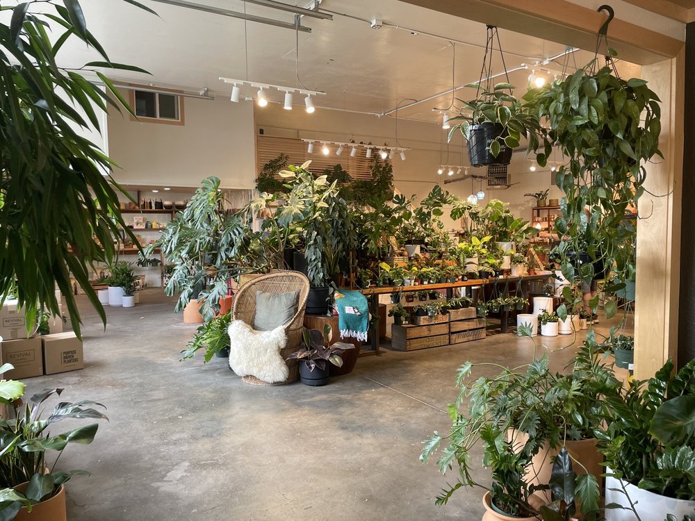 SIERRA WATER PLANT SHOP Updated September 2024 71 Photos & 43