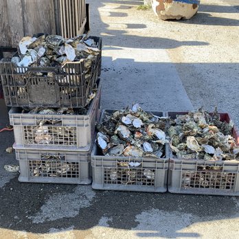 The Marshall Store - Seafood Near Me - Marshall, California