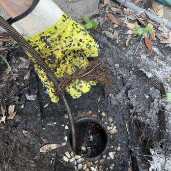 Sewer Squad - Roots we removed from a sewer. - Plumbing Near Me - Saint Petersburg, Florida Sewer Squad - Roots we removed from a sewer. - Plumbing Near Me - Saint Petersburg, Florida