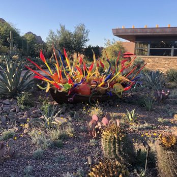 Desert Botanical Garden - Chihuly glass art - Botanical Gardens Near Me - Phoenix, Arizona Desert Botanical Garden - Chihuly glass art - Botanical Gardens Near Me - Phoenix, Arizona