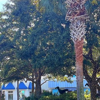 Freshfields Village - Shopping Centers Near Me - Johns Island, South Carolina