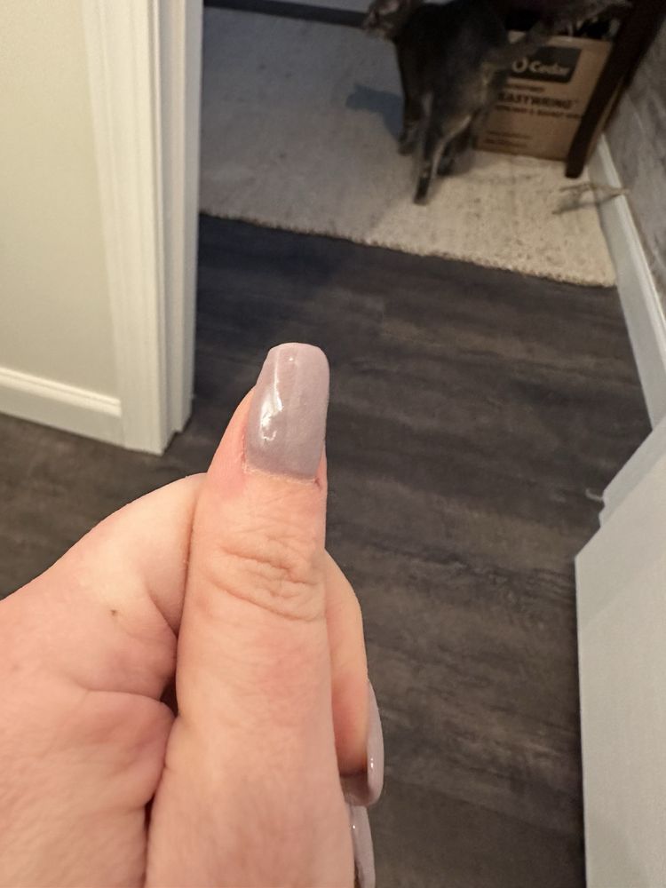 Asian Nails Logo