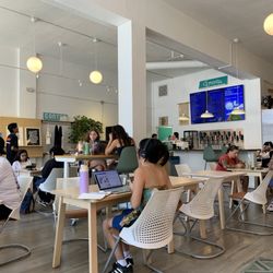 Contra Coffee & Tea - Busy place:  suede latte