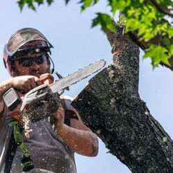New Leaf Tree Services