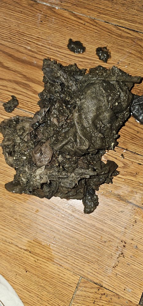 Slide of King of drains and sewers