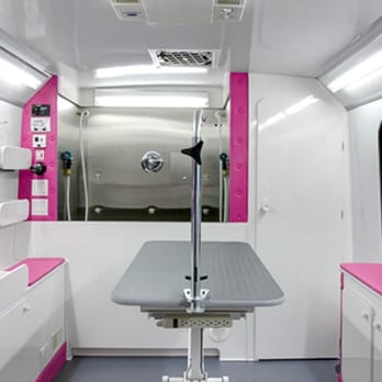 A Glawmorous Pet Pawlor - Inside van - Pet Groomers Near Me - chesapeake, Virginia A Glawmorous Pet Pawlor - Inside van - Pet Groomers Near Me - chesapeake, Virginia