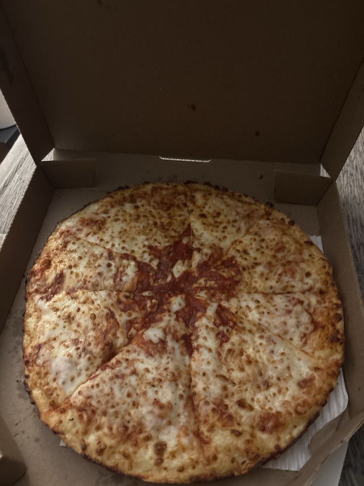 Domino's Pizza Logo