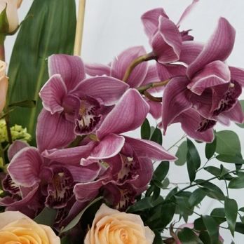 Arapaho Flowers - Flowers & Gifts Near Me - Richardson, Texas Arapaho Flowers - Flowers & Gifts Near Me - Richardson, Texas