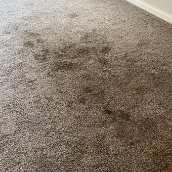 Tri-City Carpet - What the renters left us - Carpeting Near Me - Vista, California Tri-City Carpet - What the renters left us - Carpeting Near Me - Vista, California